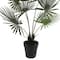 24" Potted Green Fan Palm Plant by Ashland®